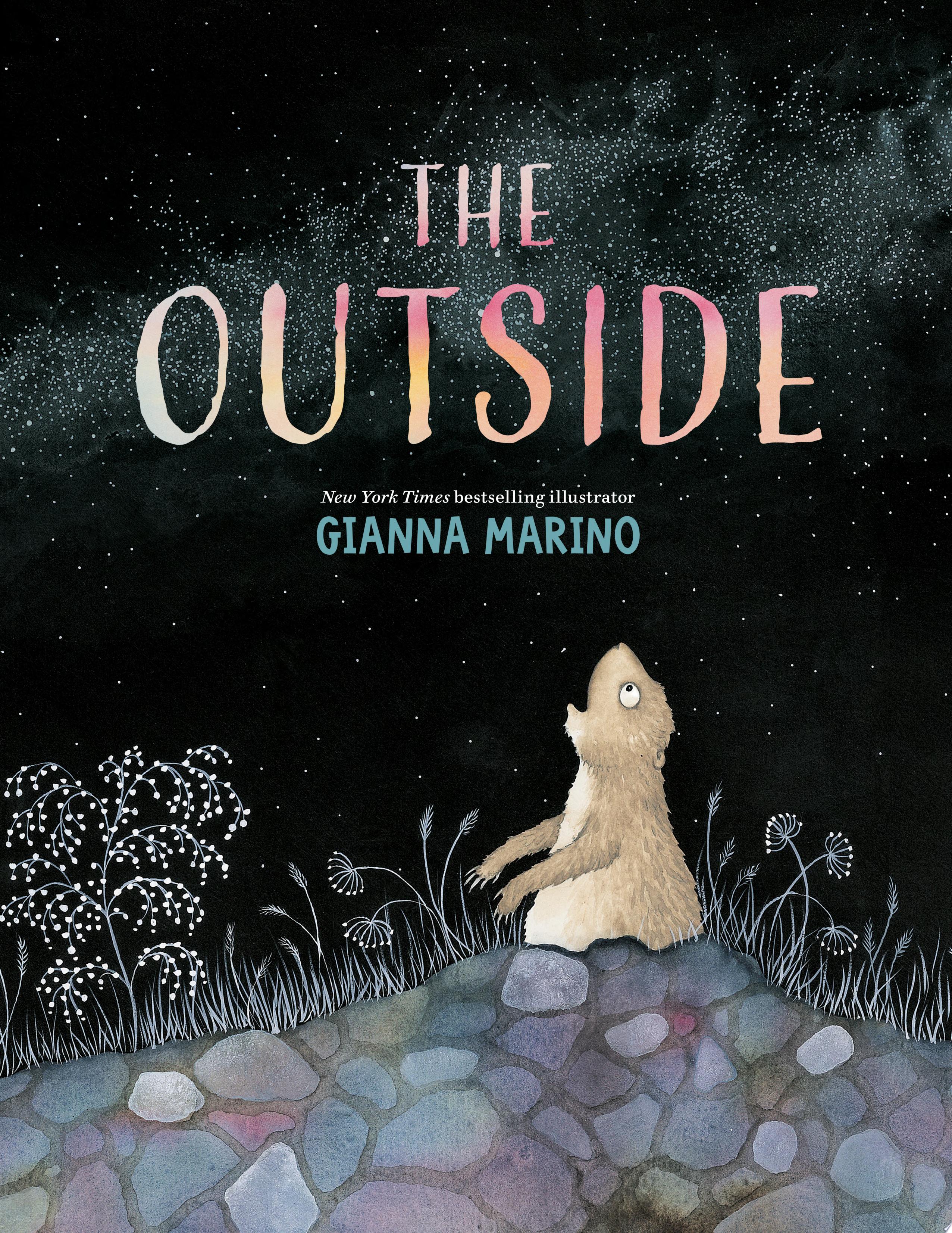 Image for "The Outside"