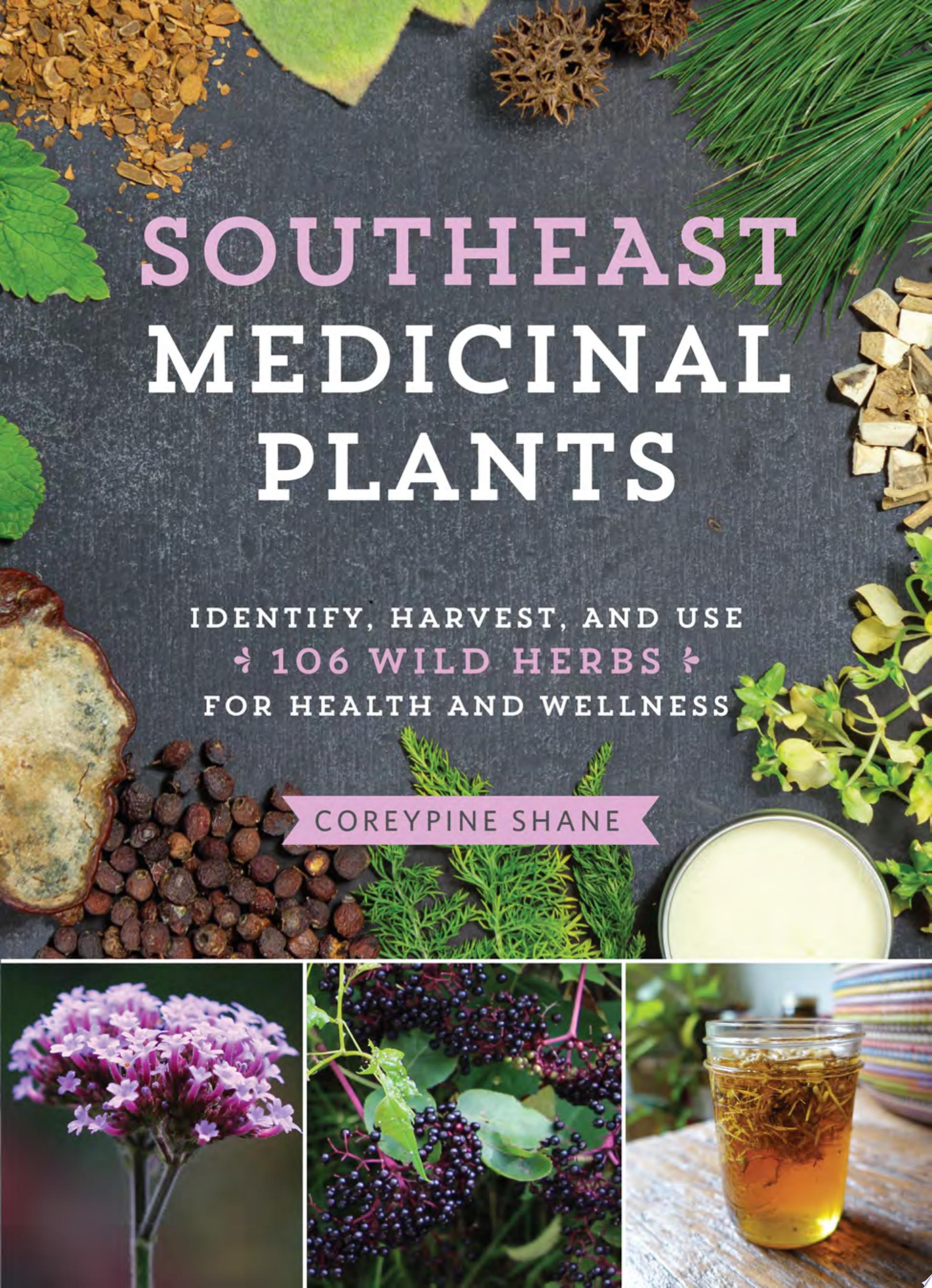 Image for "Southeast Medicinal Plants"