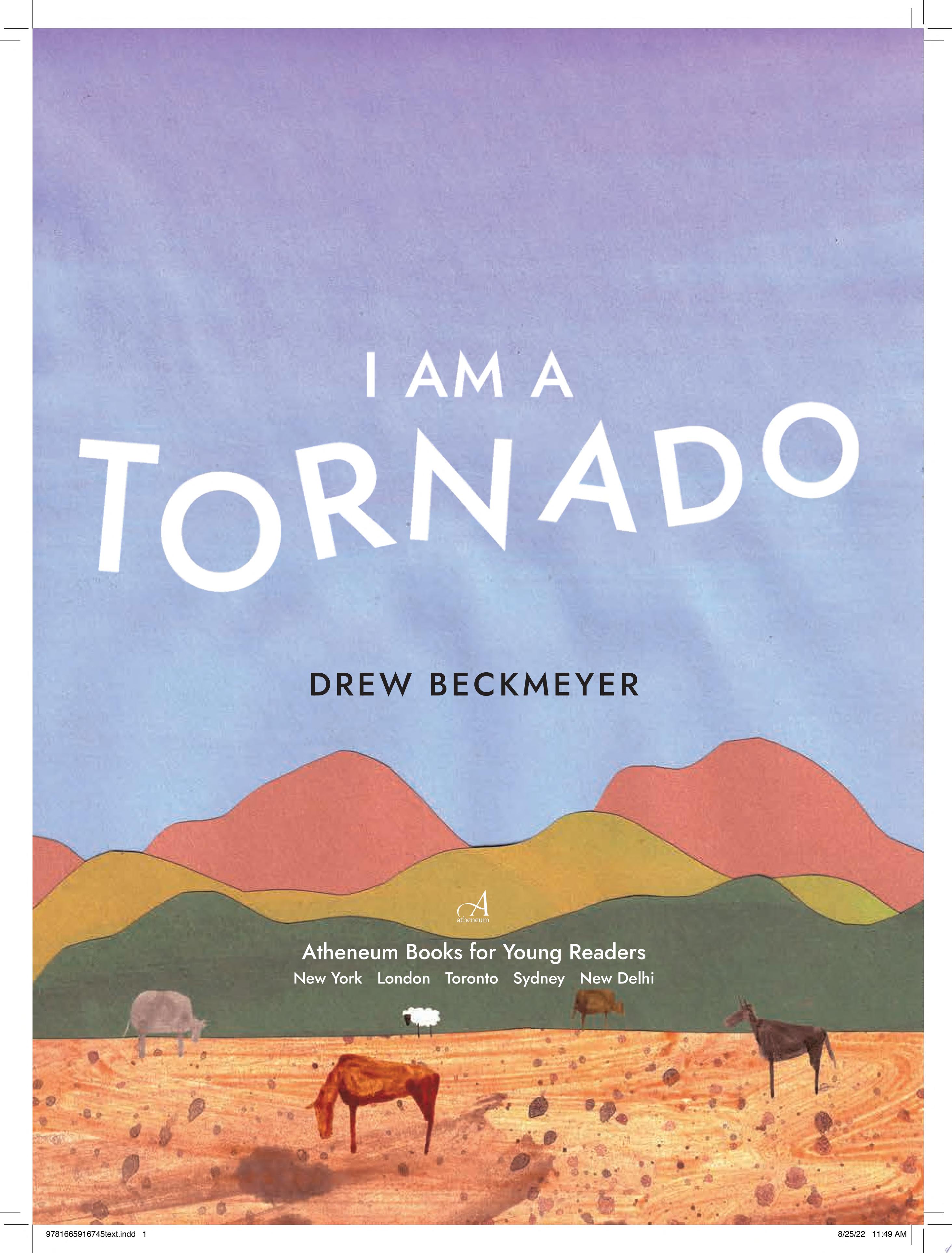 Image for "I Am a Tornado"