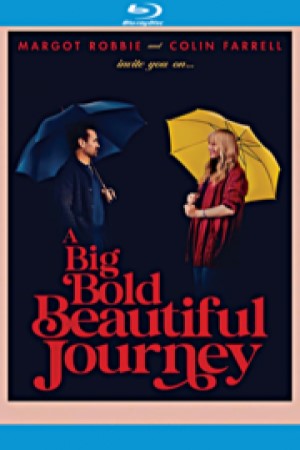 image for "A Big Bold Beautiful Journey"