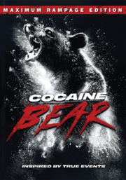 Bear rampage
