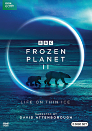 polar bears walking across ice