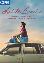 image for "Little Bird"