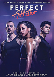 image for "Perfect Addiction"